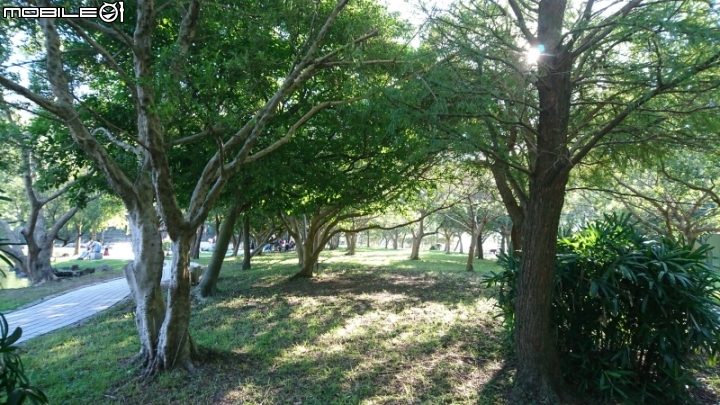 Sony Xperia XZ手機 試用