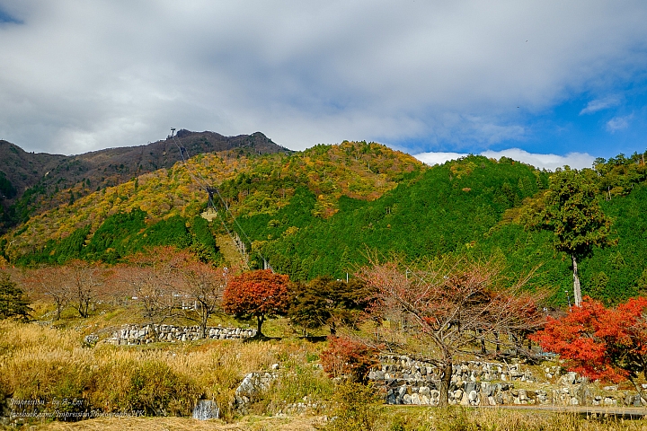 【京都楓．景】 琵琶湖篇  (X-T1)