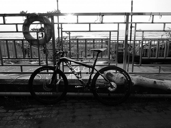 SCOTT SCALE 740 2014
