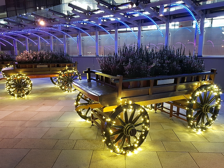 三星 S7 秋遊 日本 關西 實拍分享