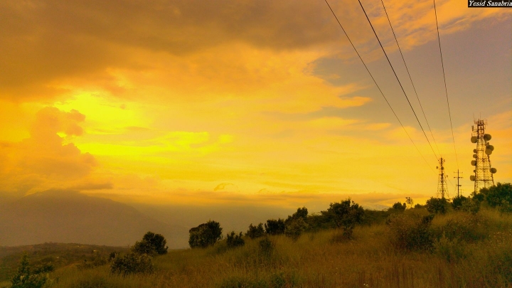 (第81批圖) LG G4 &G5&V10&v20 日夜拍研究團 精選作品2016.11.14