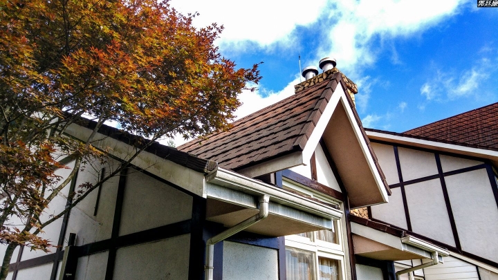 (第81批圖) LG G4 &G5&V10&v20 日夜拍研究團 精選作品2016.11.14