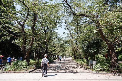 [走跳] 日本東京五日遊 day3 （上）- 東京大學、東大中央食堂、不忍池、上野