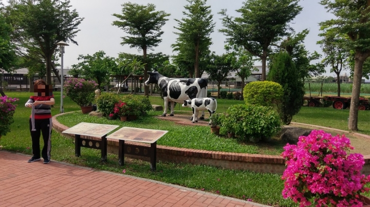 偽環島遊記(花蓮台南新化區)圖多