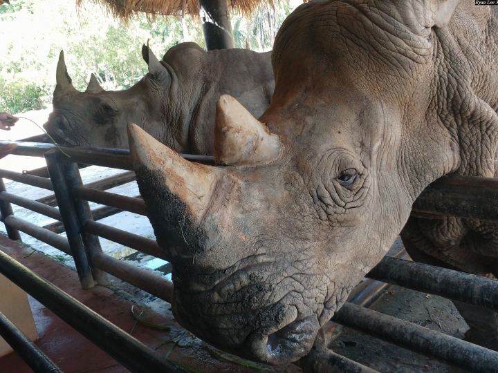 (第81批圖) LG G4 &G5&V10&v20 日夜拍研究團 精選作品2016.11.14