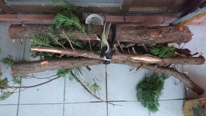 木要成材需要經過什麼處理嗎？