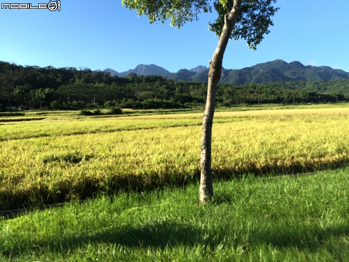 兩輪加四輪 我們這一家環島去