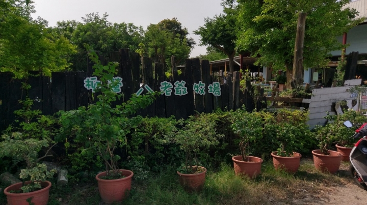 偽環島遊記(花蓮台南新化區)圖多