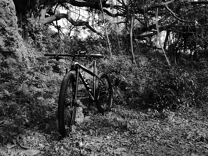 SCOTT SCALE 740 2014