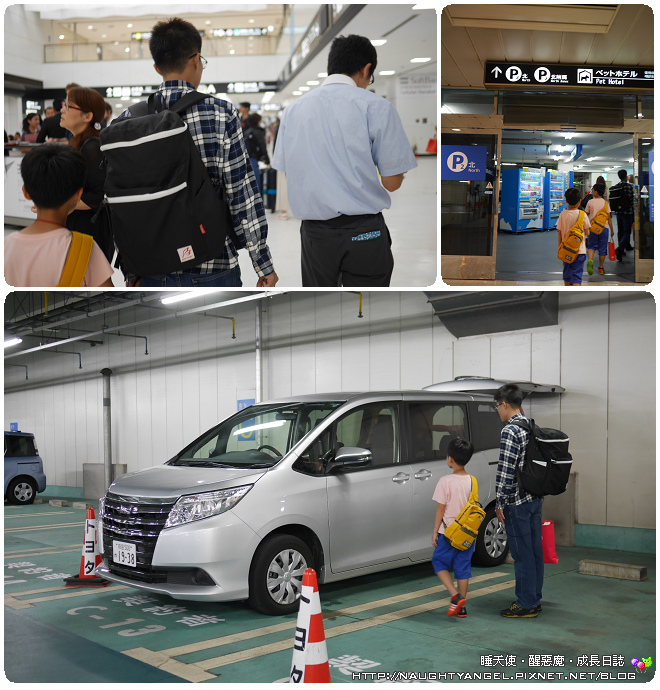 〈東京親子景點〉成田空港租車自駕。季節限定，到日本採藍莓、採葡萄囉~