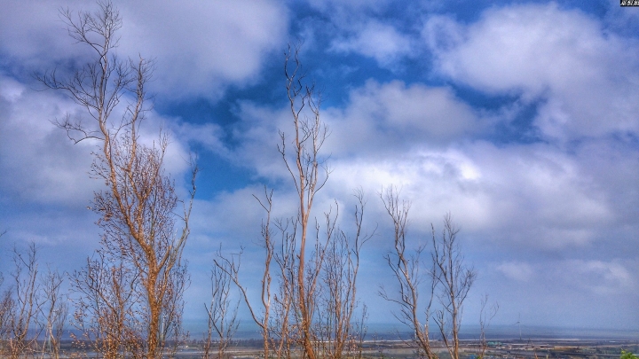 (第83批圖) LG G4 &G5&V10&v20 日夜拍研究團 精選作品2016.11.28