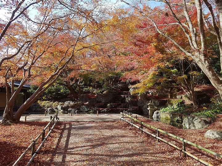 三星 S7 秋遊 日本 關西 實拍分享