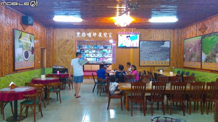 關西仙草博物館散步遊