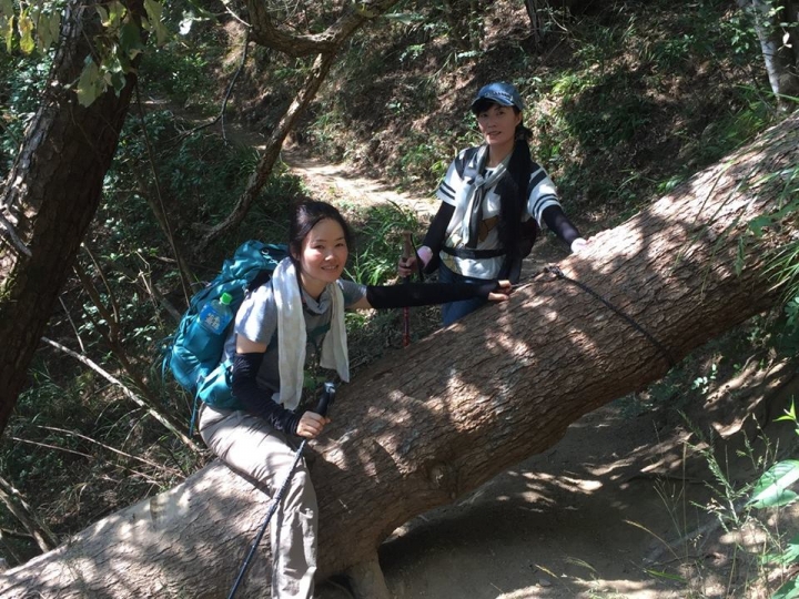 1051107 谷關七雄~~東卯山