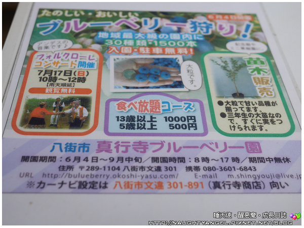 〈東京親子景點〉成田空港租車自駕。季節限定，到日本採藍莓、採葡萄囉~