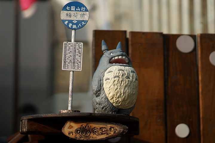 sony a99+135za+16-35za露琦和食