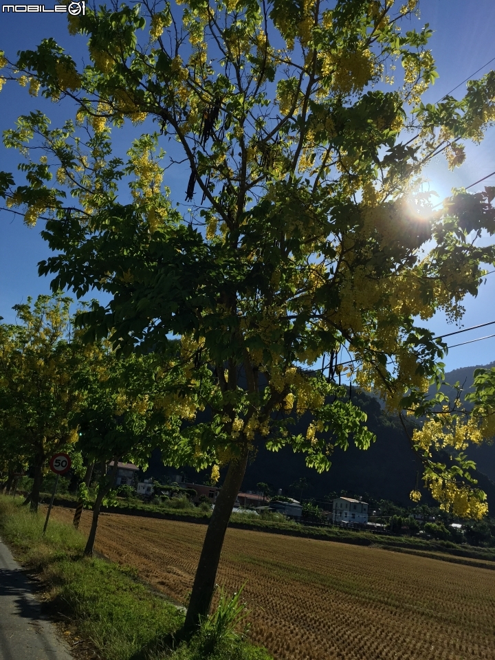 兩輪加四輪 我們這一家環島去