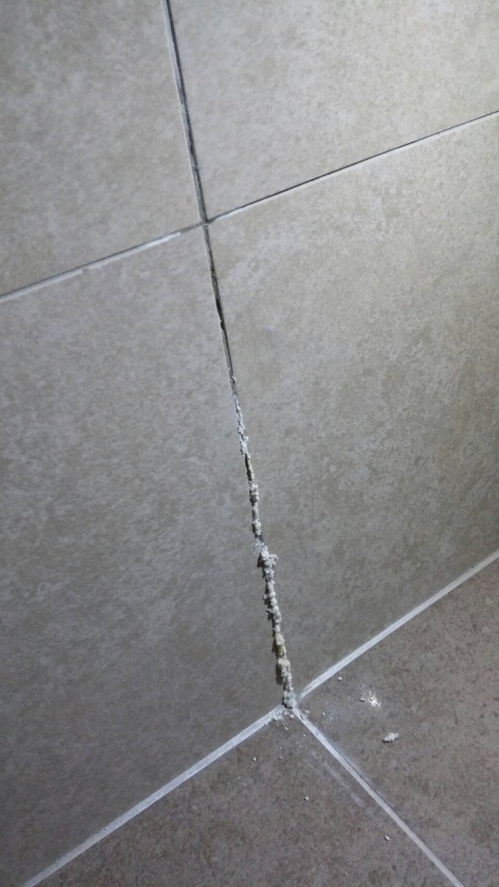 請問這個是壁癌還是什麼東西呢?? ^_^"