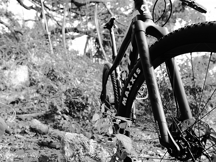 SCOTT SCALE 740 2014