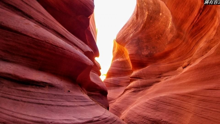 (第83批圖) LG G4 &G5&V10&v20 日夜拍研究團 精選作品2016.11.28