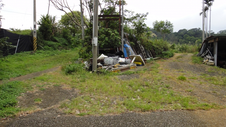 尋訪孫立人將軍長眠之地．順遊大坑及新社尋訪百年老樹