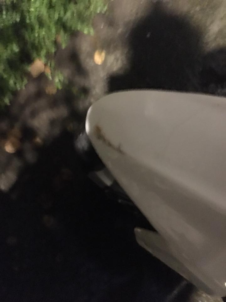 珍珠白倒車