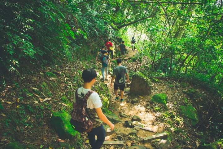 太極峽谷 梯子吊橋之旅