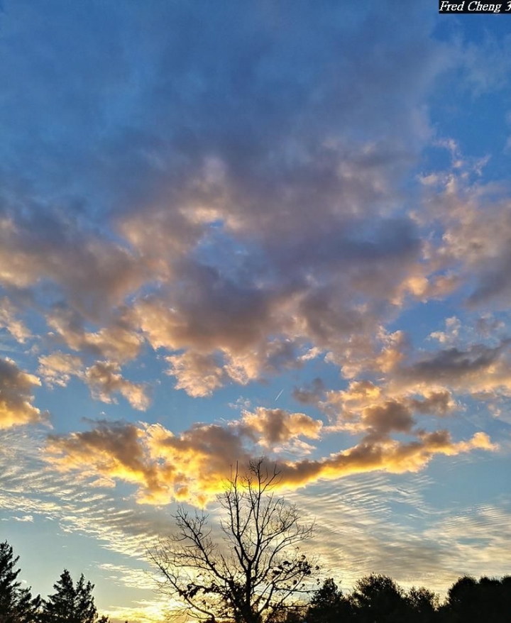 (第81批圖) LG G4 &G5&V10&v20 日夜拍研究團 精選作品2016.11.14