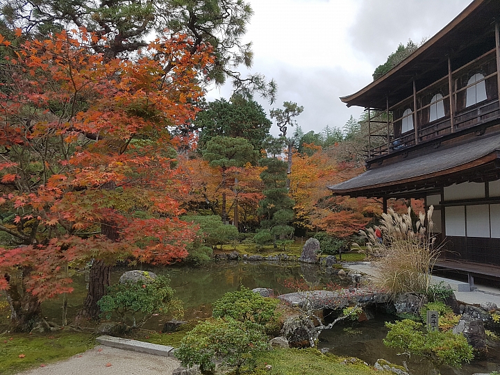 三星 S7 秋遊 日本 關西 實拍分享