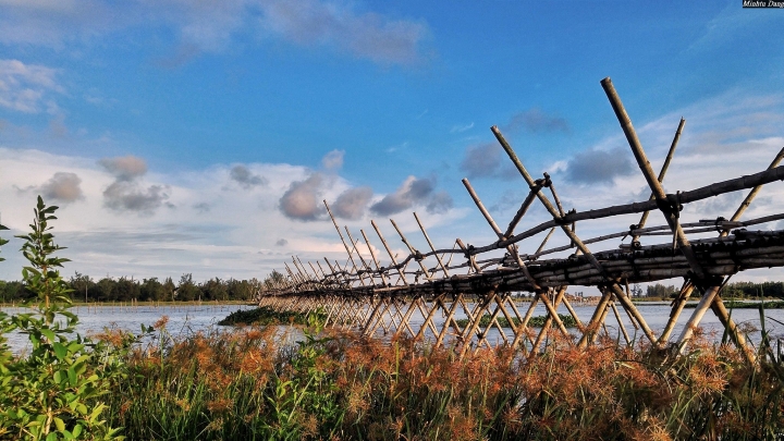 (第83批圖) LG G4 &G5&V10&v20 日夜拍研究團 精選作品2016.11.28