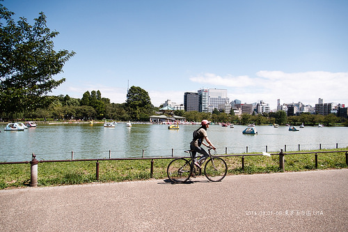 [走跳] 日本東京五日遊 day3 （上）- 東京大學、東大中央食堂、不忍池、上野