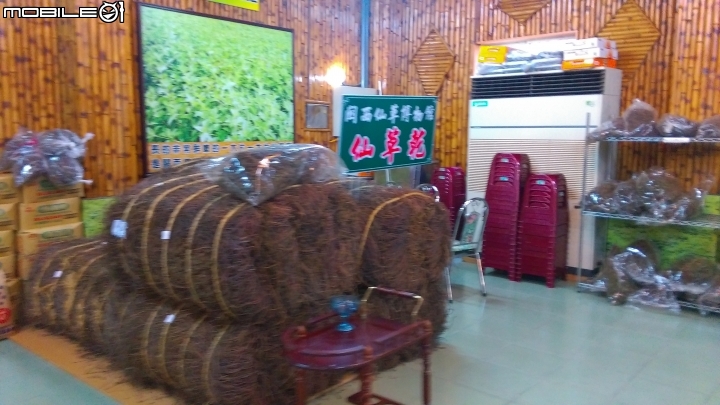 關西仙草博物館散步遊