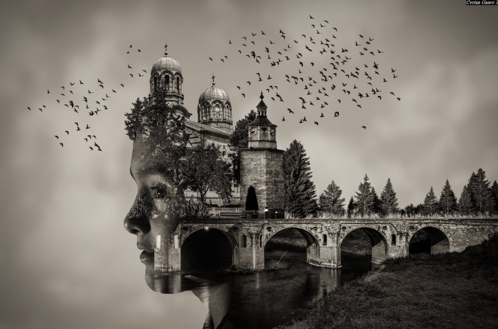 (第81批圖) LG G4 &G5&V10&v20 日夜拍研究團 精選作品2016.11.14