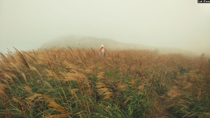 (第81批圖) LG G4 &G5&V10&v20 日夜拍研究團 精選作品2016.11.14