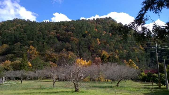 機車旅行-武陵農場賞楓