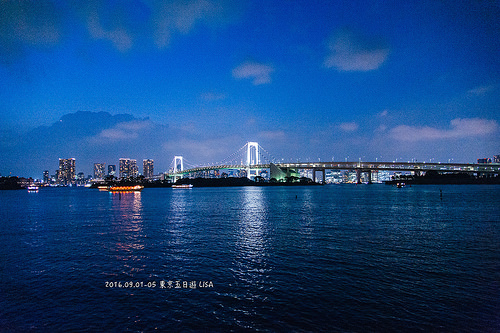 [走跳] 日本東京五日遊 day2 （下）- 銀座-喫茶店（歷史悠久咖啡廳）、新宿南口便宜藥妝店、台場夜景