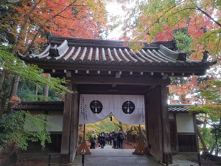 三星 S7 秋遊 日本 關西 實拍分享