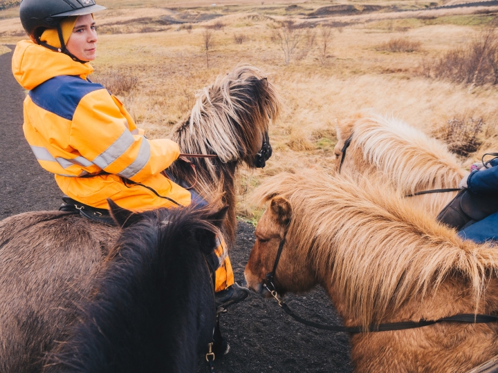 [E-M5 II]而我卻一眼看不完—冰島蜜月極光之旅