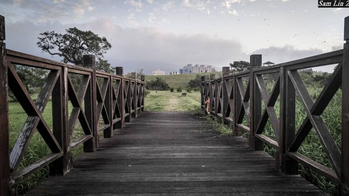 (第81批圖) LG G4 &G5&V10&v20 日夜拍研究團 精選作品2016.11.14