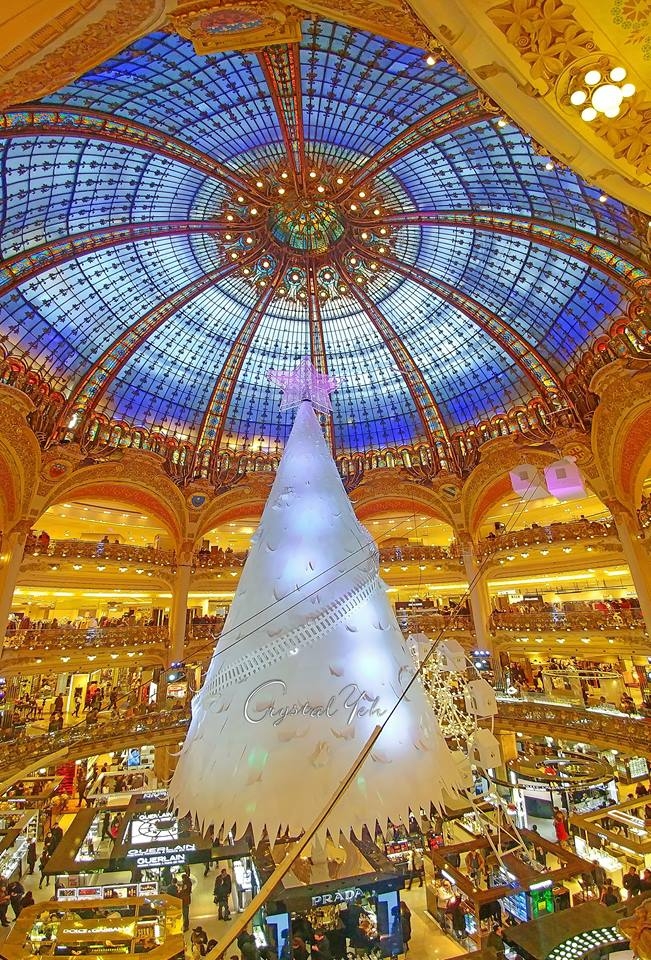 (第81批圖) LG G4 &G5&V10&v20 日夜拍研究團 精選作品2016.11.14