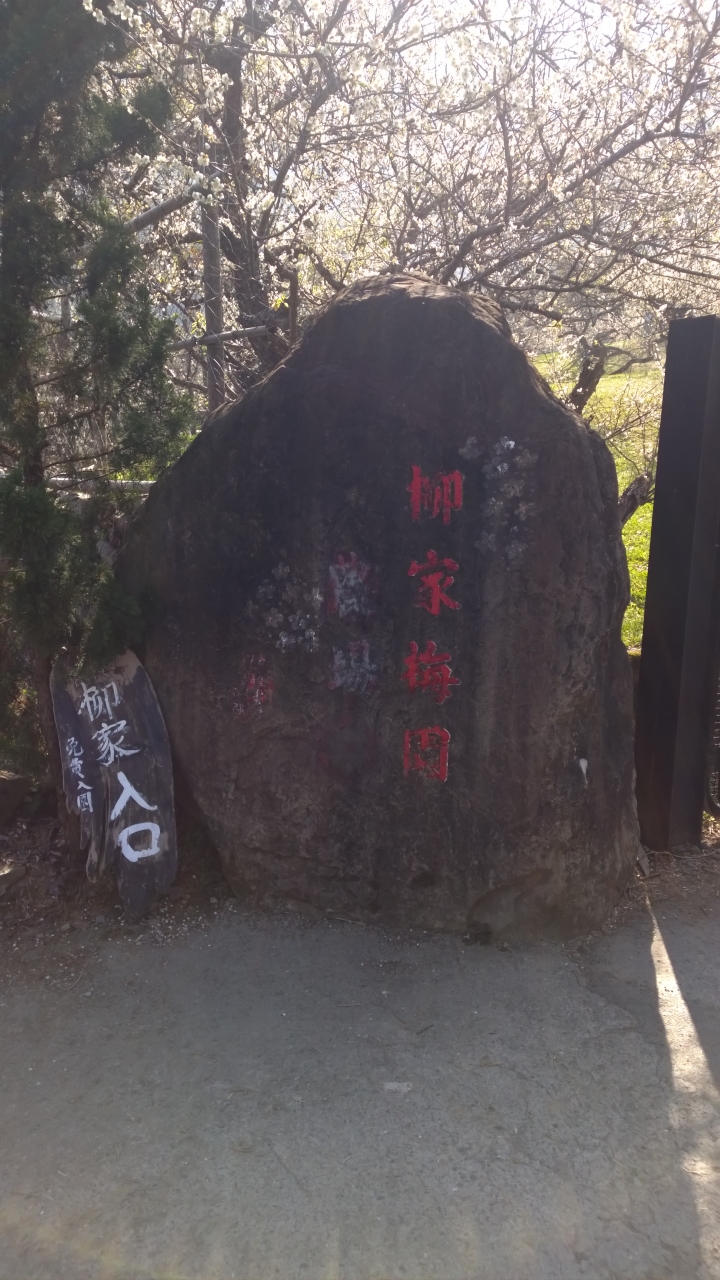 機車旅行-風櫃斗&柳家梅園