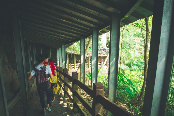 太極峽谷 梯子吊橋之旅