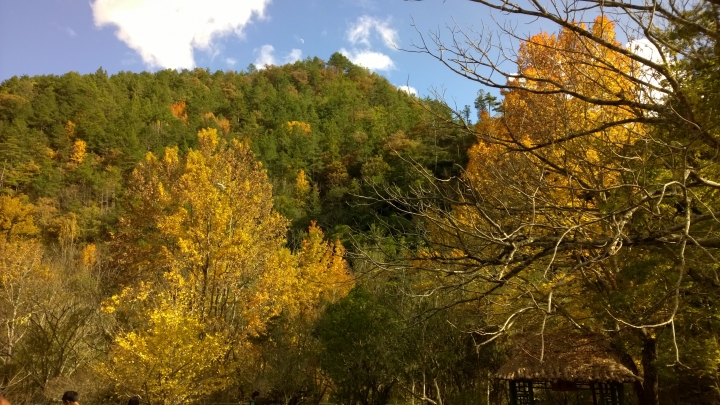 機車旅行-武陵農場賞楓