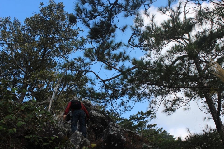 1051107 谷關七雄~~東卯山