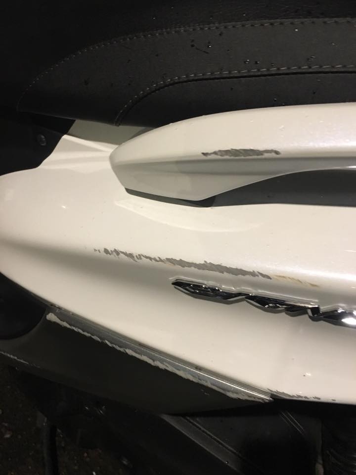 珍珠白倒車