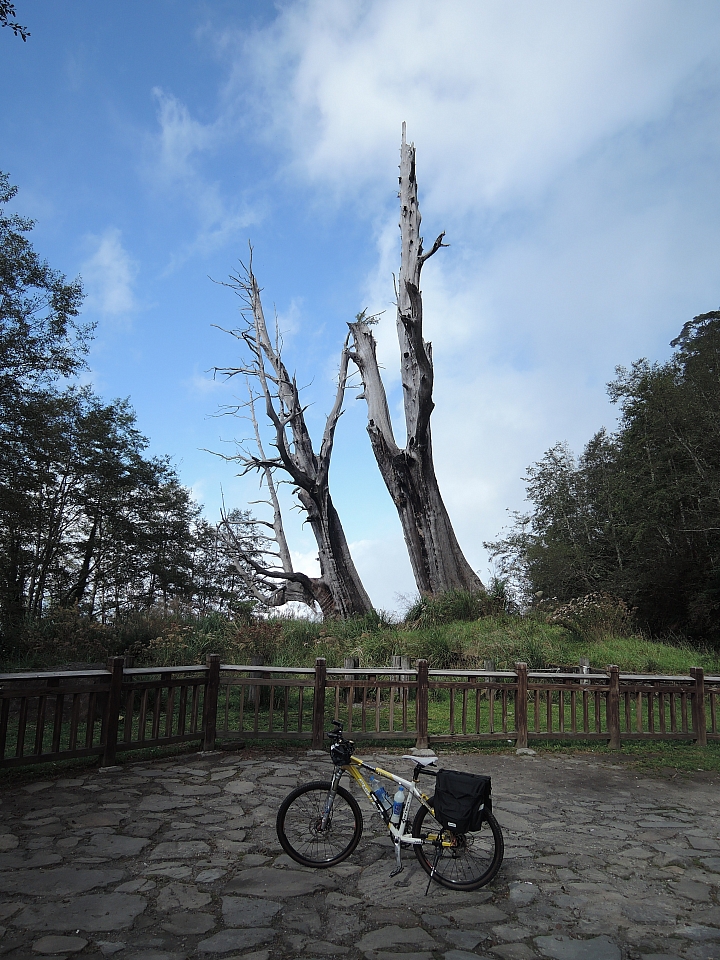 2015 單車旅行 環半島遊記 Day-6 阿里山-集集