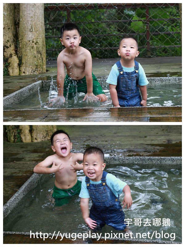 【宇哥去新竹】新埔的森林鳥花園,有沙坑/水池/噴水池/塗鴉區/迷宮/攀岩/盪鞦韆/磨石子溜滑梯/騎小車區/積木/鳥園/CP值絕對高的好地方
