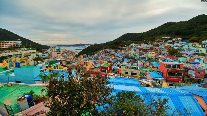 (第81批圖) LG G4 &G5&V10&v20 日夜拍研究團 精選作品2016.11.14