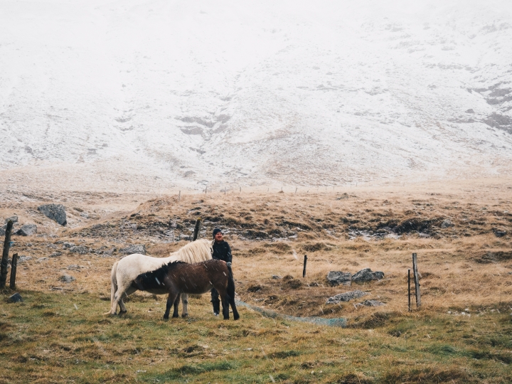 [E-M5 II]而我卻一眼看不完—冰島蜜月極光之旅