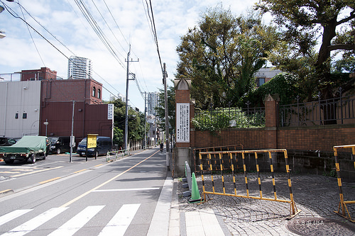 [走跳] 日本東京五日遊 day3 （上）- 東京大學、東大中央食堂、不忍池、上野